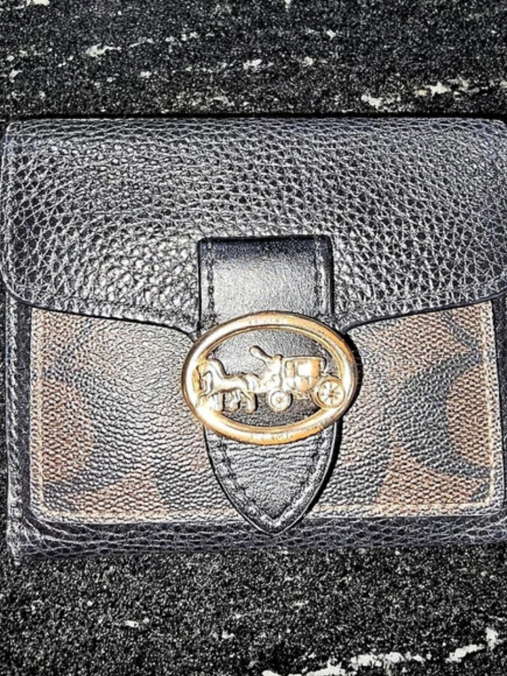 Coach Georgie Small Wallet In Signature Canvas Black & Brown